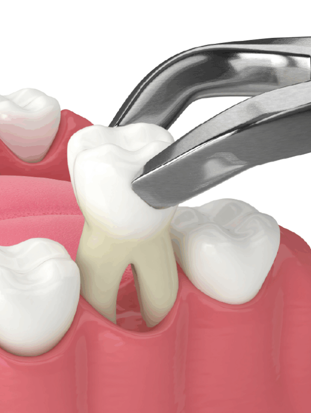 Dr RL Mudau Website Images - Highlight-12